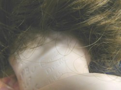 sfbj 247 twirp neck b